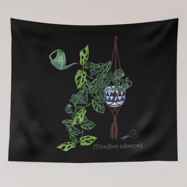 Item preview, Monstera adansonii, Monstera plant designed and sold by nanathaishop.