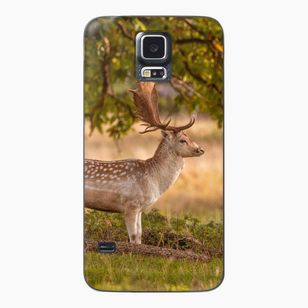 Item preview, Samsung Galaxy Skin designed and sold by AYatesPhoto.