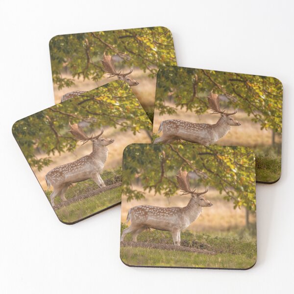 Item preview, Lone fallow deer in autumn designed and sold by AYatesPhoto.