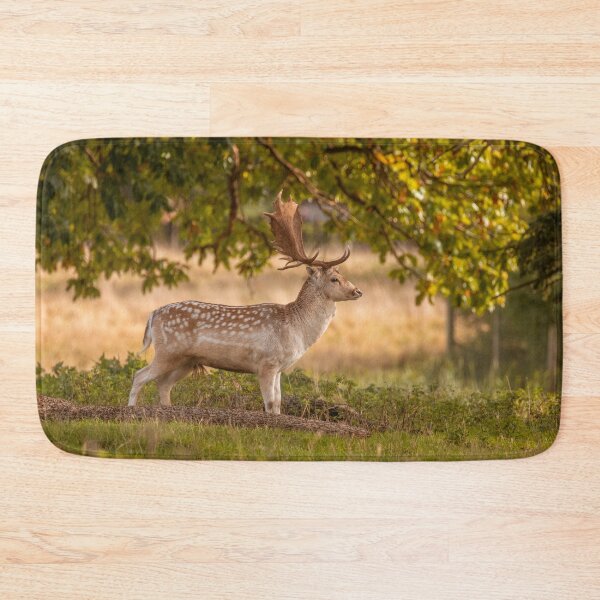 Item preview, Lone fallow deer in autumn designed and sold by AYatesPhoto.