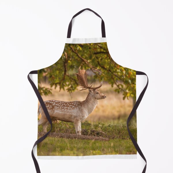 Item preview, Lone fallow deer in autumn designed and sold by AYatesPhoto.