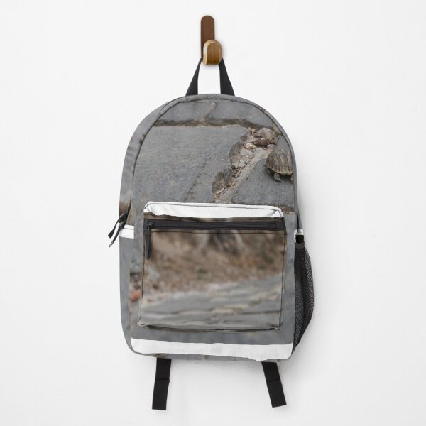 Item preview,  baby hermann's tortoise crossing the street designed and sold by distracted.