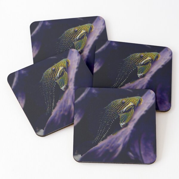 Item preview, Royal Pleco designed and sold by GFishy.