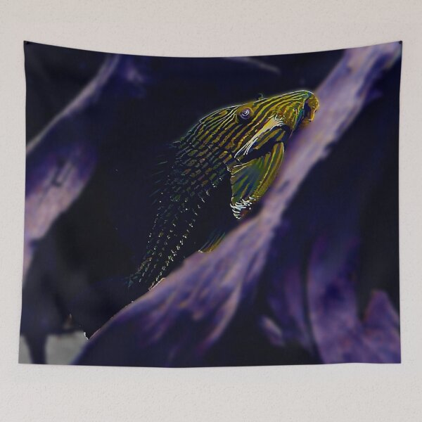 Item preview, Royal Pleco designed and sold by GFishy.