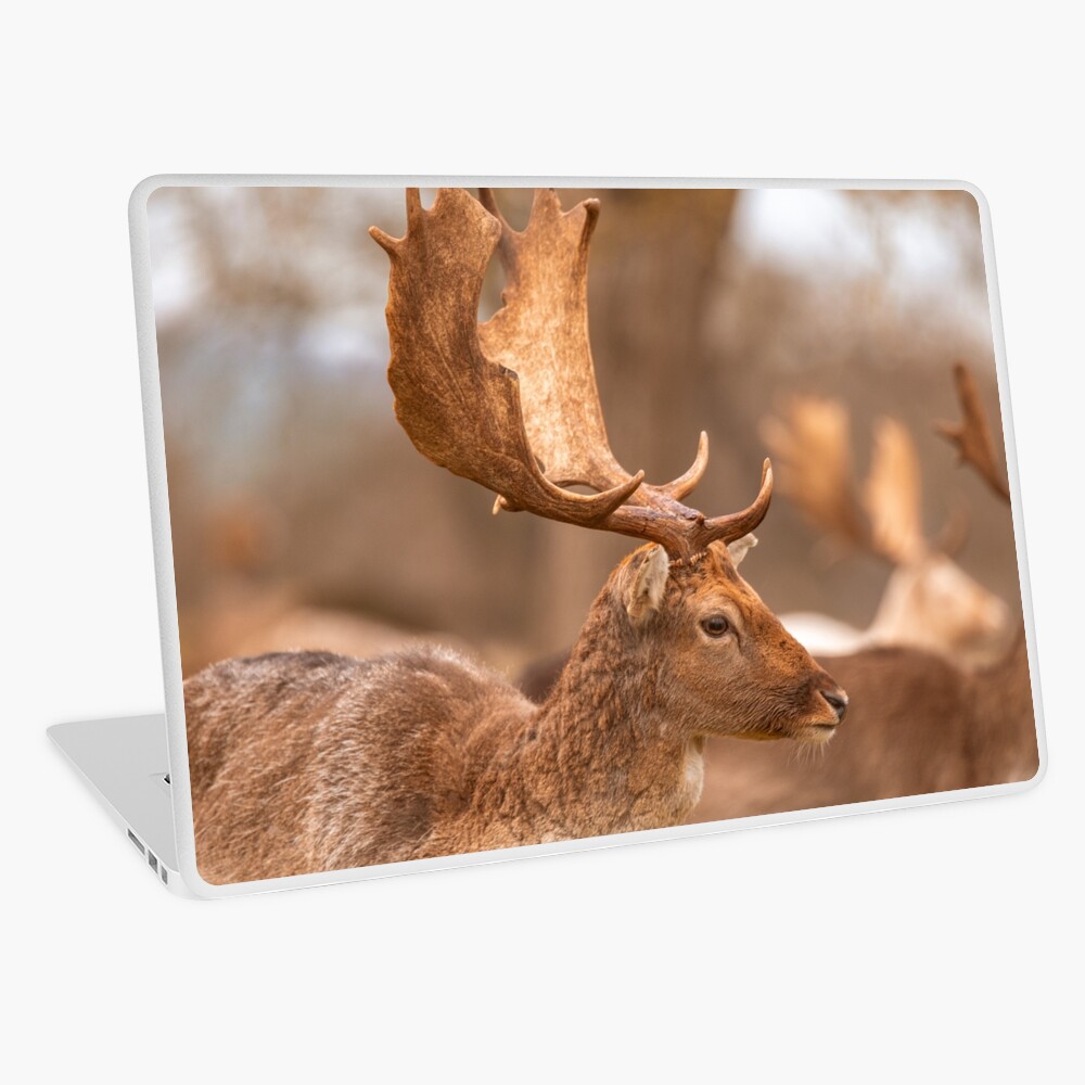 Item preview, Laptop Skin designed and sold by AYatesPhoto.
