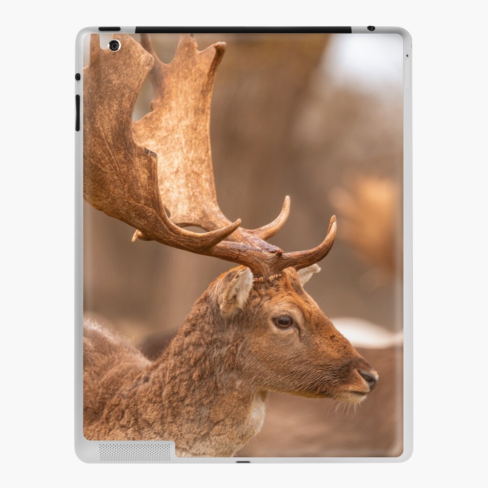 Item preview, iPad Skin designed and sold by AYatesPhoto.
