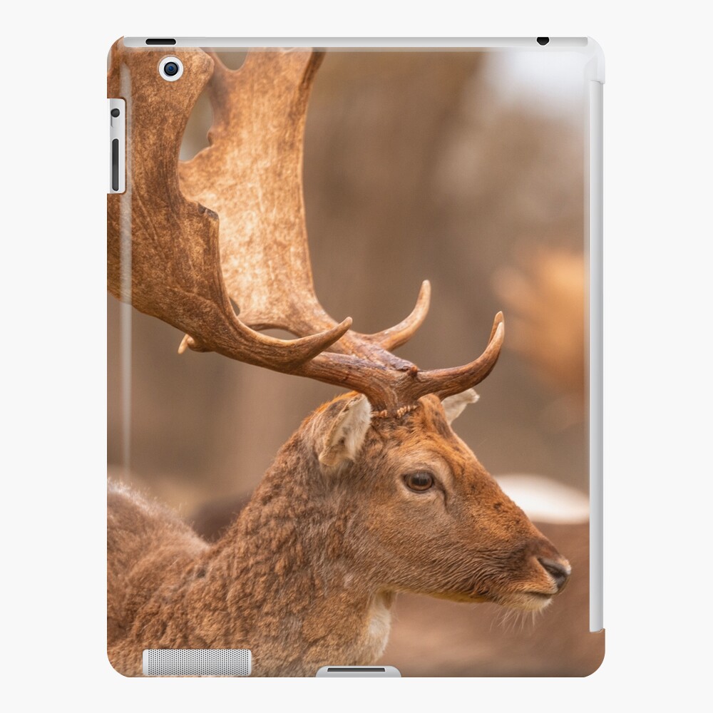 Item preview, iPad Snap Case designed and sold by AYatesPhoto.