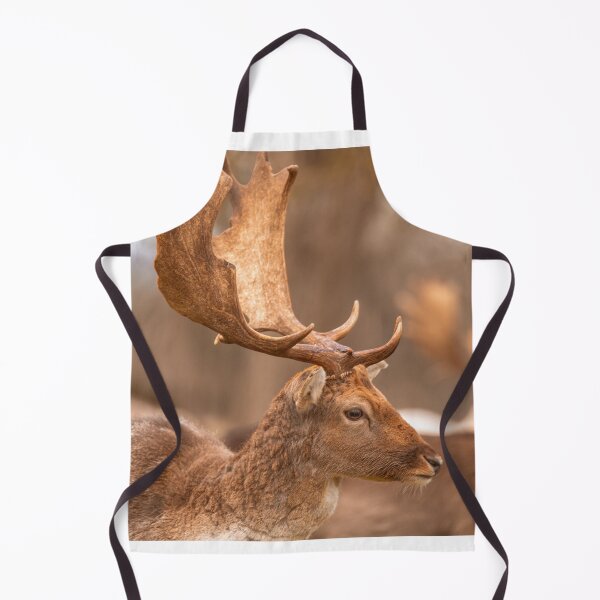 Item preview, Fallow deer antlers designed and sold by AYatesPhoto.