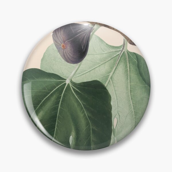 Item preview, Fig Plant Antique Print, designed and sold by Arctic frame studio.