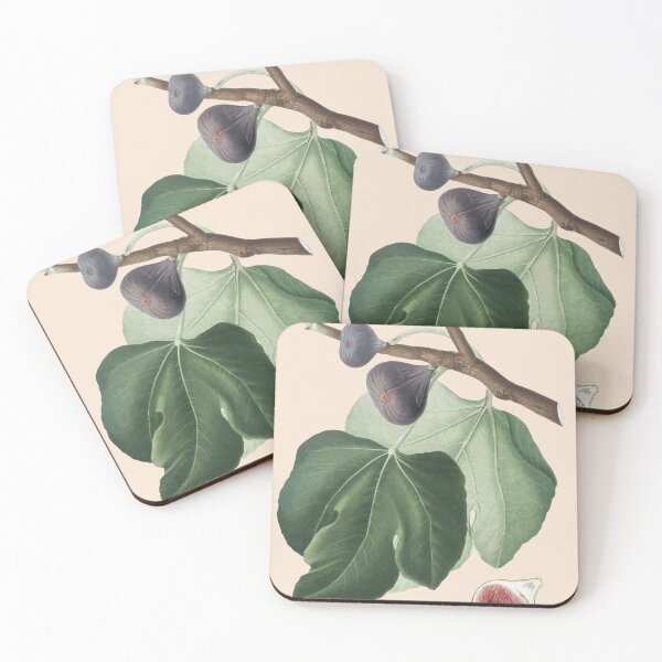 Item preview, Fig Plant Antique Print, designed and sold by Arctic frame studio.