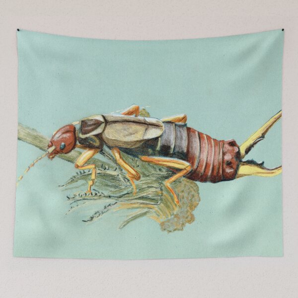 Item preview, Earwig on dead flower, high resolution designed and sold by xargot.