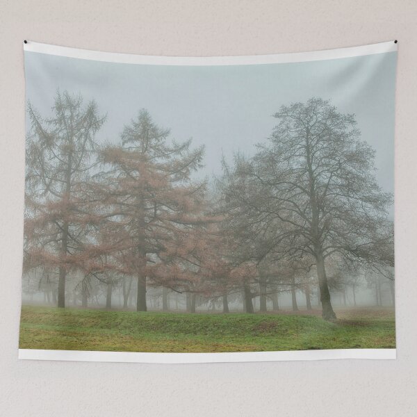 Item preview, Trees in autumn mist designed and sold by Photopat.