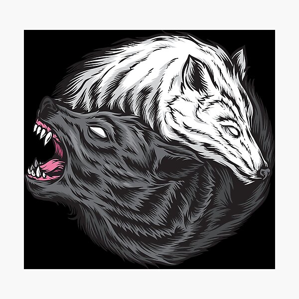 Two yin yang wolves Photographic Print