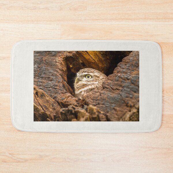 Item preview, Little Owl in an Old Tree Stump designed and sold by Jane Stanley Photography.