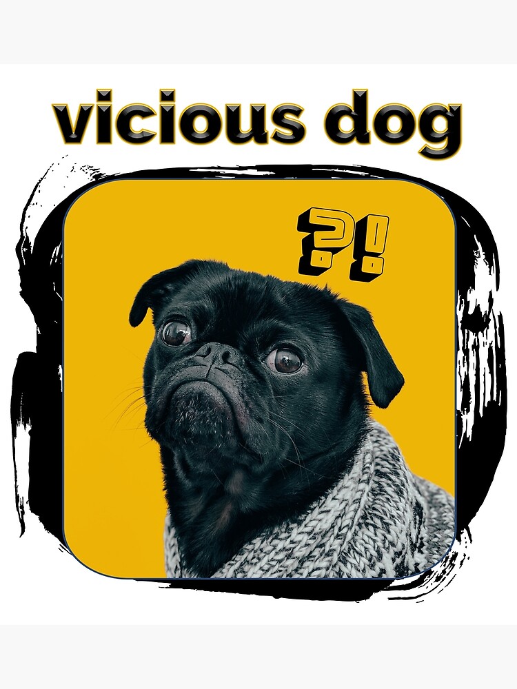 "Vicious Pug Dog very dangerous" Poster by Thedomh Redbubble