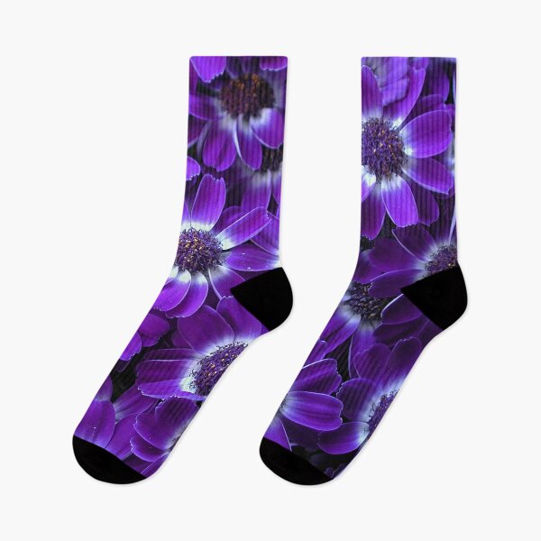 Item preview, Purple Cineraria designed and sold by Mythos57.