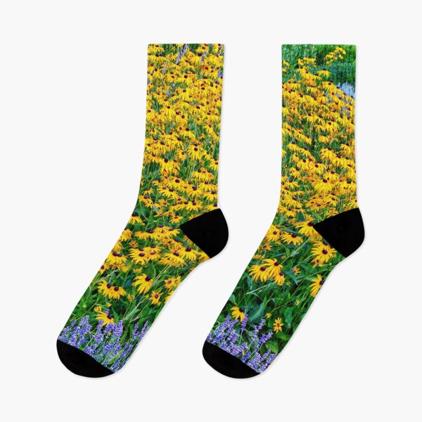 Item preview, Black-eyed Susans And Lavender designed and sold by Mythos57.
