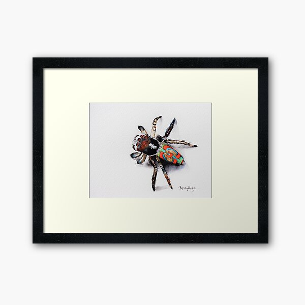 Item preview, Marty - Maratus Pavonis designed and sold by Renata Wright.