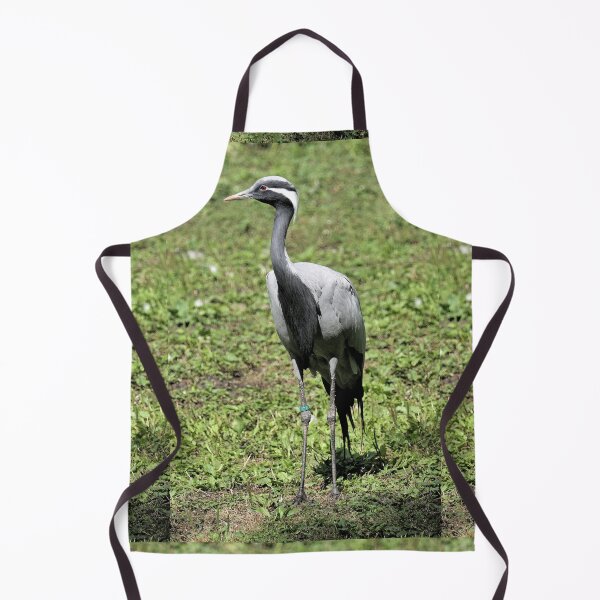 Item preview, r2464/ 18 parc-ornithologique-de-st-hilaire-la-palud - Grue demoiselle - 2020 par Okaio Créations - Olavia&Olao designed and sold by o.okaïo.