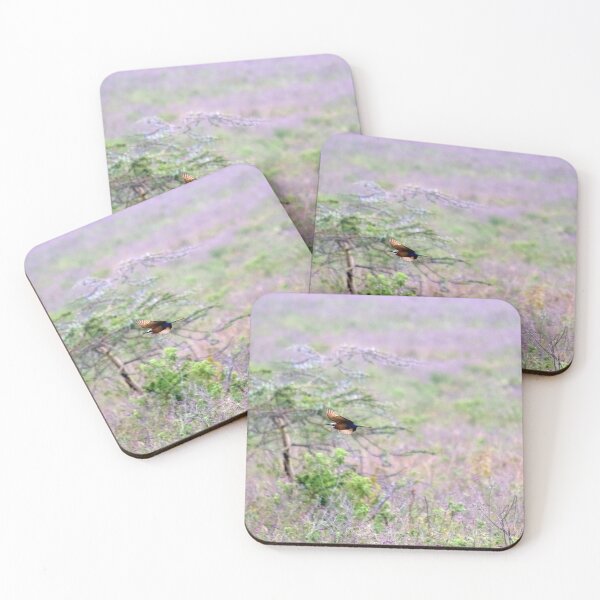 Item preview, Bee-eater in flight. Lake Nakuru National Park. Kenya designed and sold by electricimage.