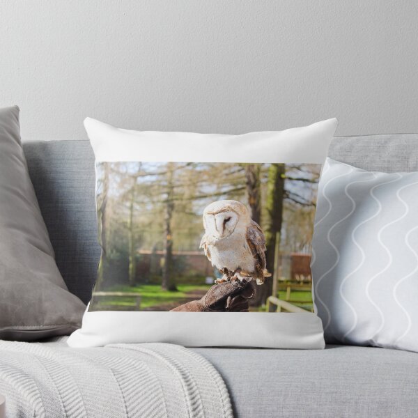 Item preview, Barn owl  designed and sold by Jenny Burrows.