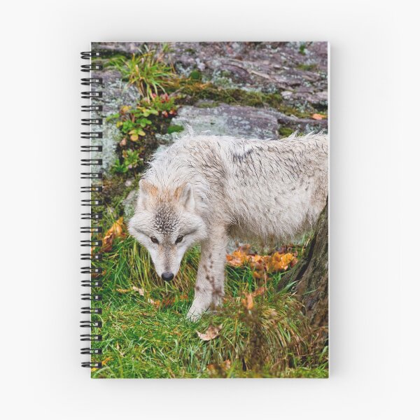 Item preview, Arctic Wolf Pup designed and sold by WolvesOnly.