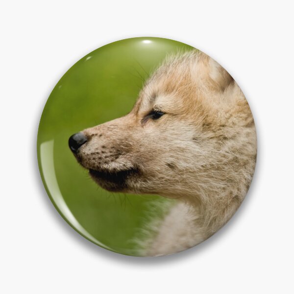 Artikelvorschau, Arctic Wolf Pup entworfen und verkauft von WolvesOnly.