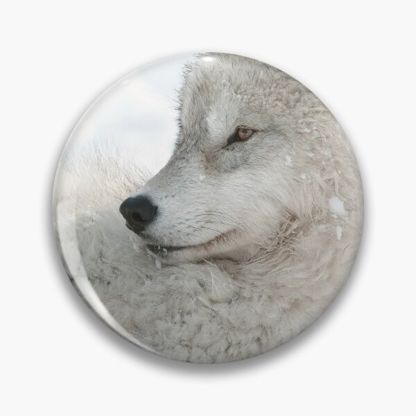 Item preview, Arctic Wolf Pup designed and sold by WolvesOnly.