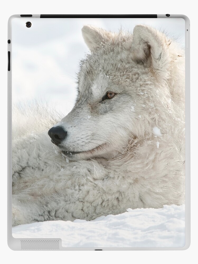 White wolf discount for sale