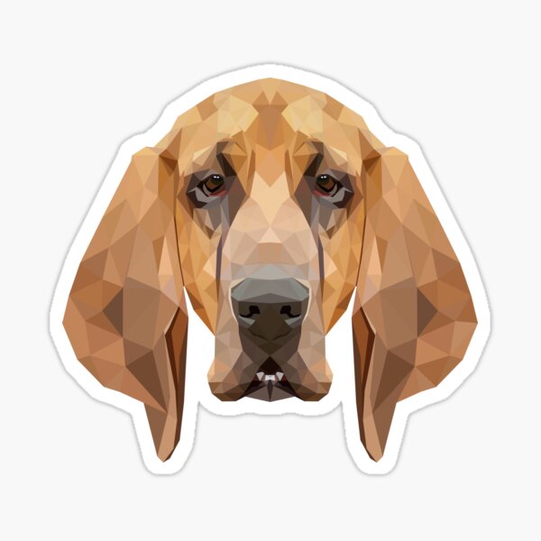 small bloodhound
