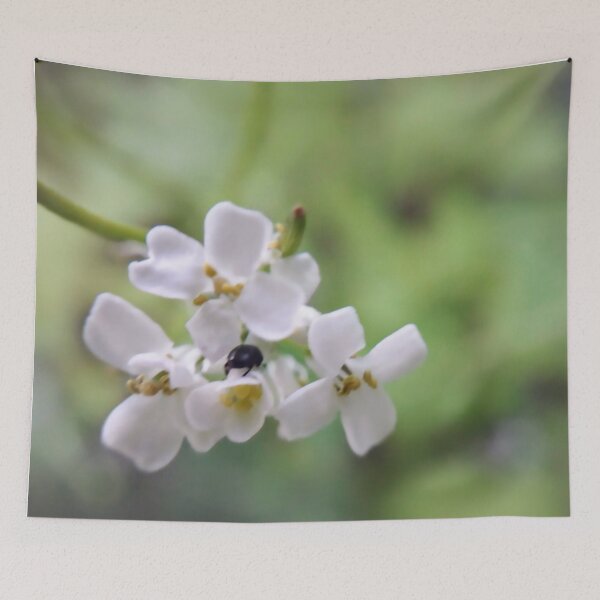 Item preview, White flowers Insect Botanical Floral designed and sold by Tanja Dianova.