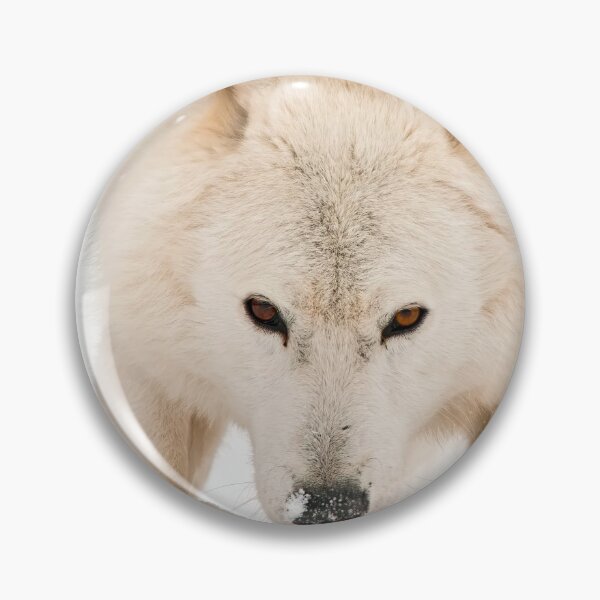 Item preview, Arctic Wolf designed and sold by WolvesOnly.