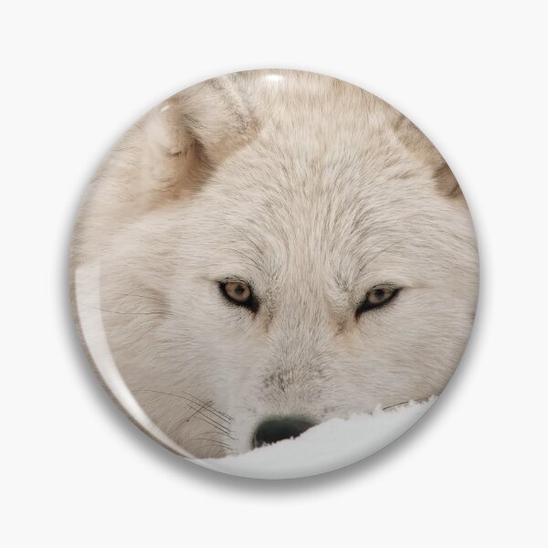 Item preview, Arctic Wolf designed and sold by WolvesOnly.