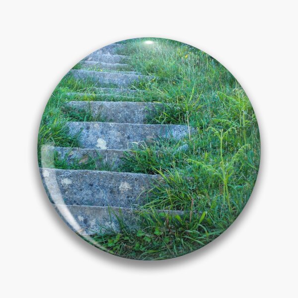 Item preview, Overgrown stone steps in a hillside designed and sold by Jenny Burrows.