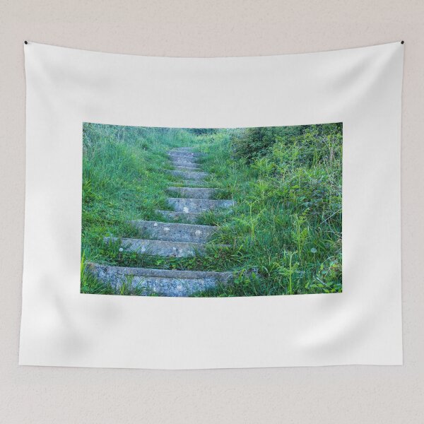 Item preview, Overgrown stone steps in a hillside designed and sold by Jenny Burrows.