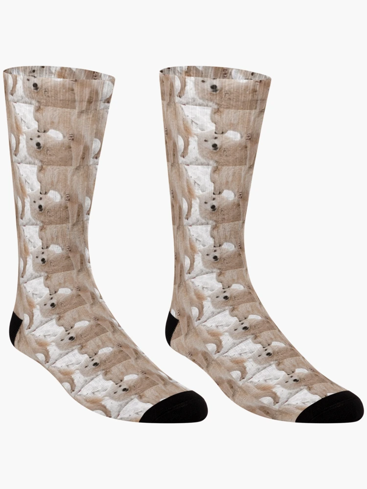 Thumbnail 3 of 5, Socks, Arctic Wolves designed and sold by WolvesOnly.