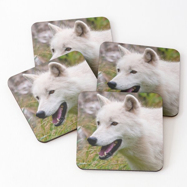 Artikelvorschau, Arctic Wolf entworfen und verkauft von WolvesOnly.