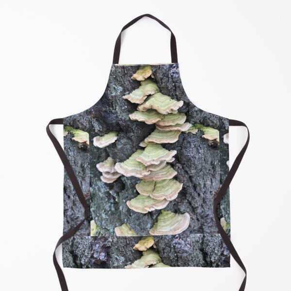Item preview, Bracket Fungi on a Tree Stump designed and sold by Billlee.