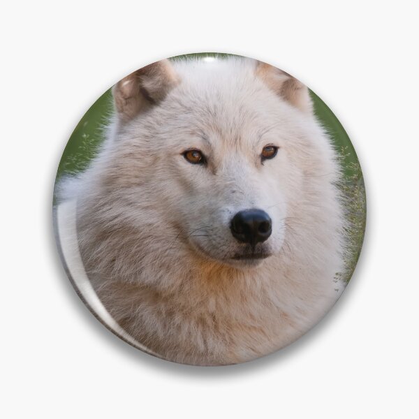Artikelvorschau, Arctic Wolf entworfen und verkauft von WolvesOnly.