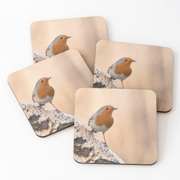 Item preview, Robin on the silver perch designed and sold by AYatesPhoto.