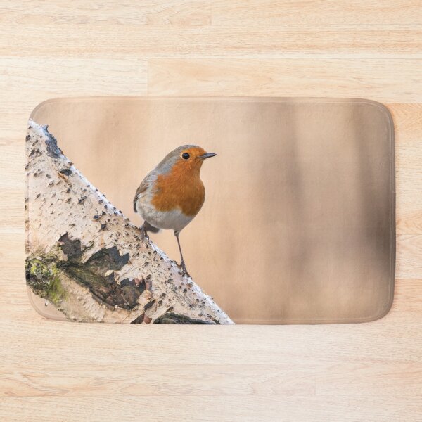 Item preview, Robin on the silver perch designed and sold by AYatesPhoto.