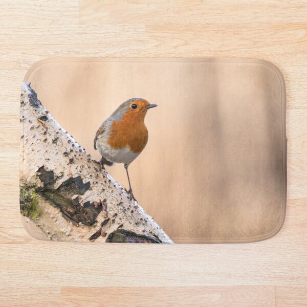 Item preview, Robin on the silver perch designed and sold by AYatesPhoto.