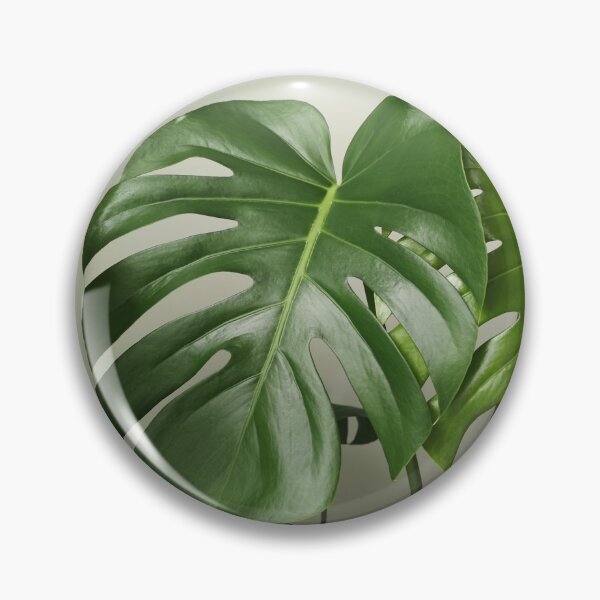 Item preview, Monstera leaves Tropical leaf art on green grey background designed and sold by milkasweet.
