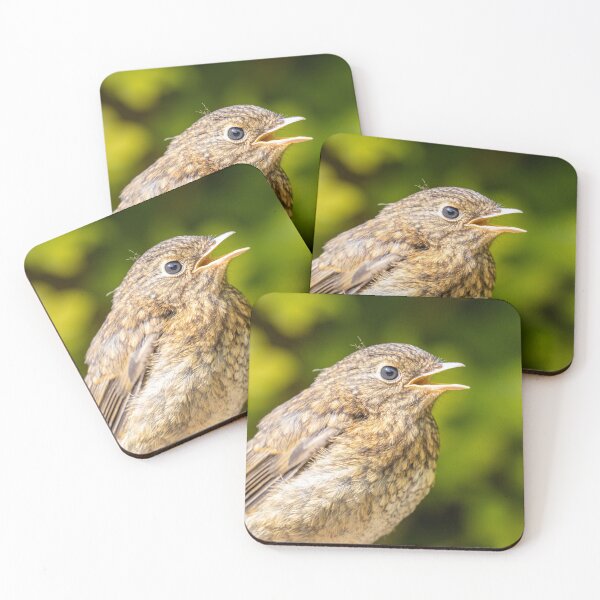 Item preview, Baby robin designed and sold by AYatesPhoto.