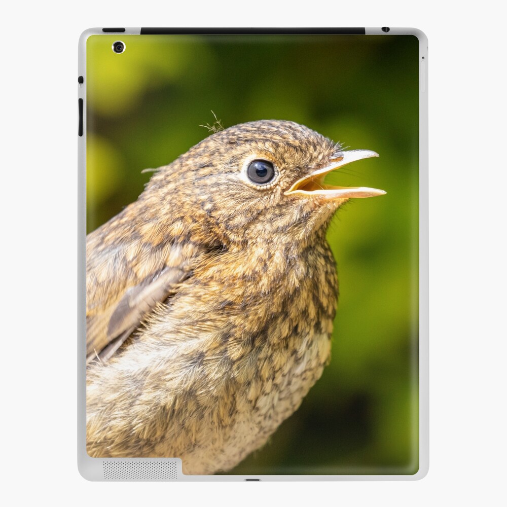 Item preview, iPad Skin designed and sold by AYatesPhoto.