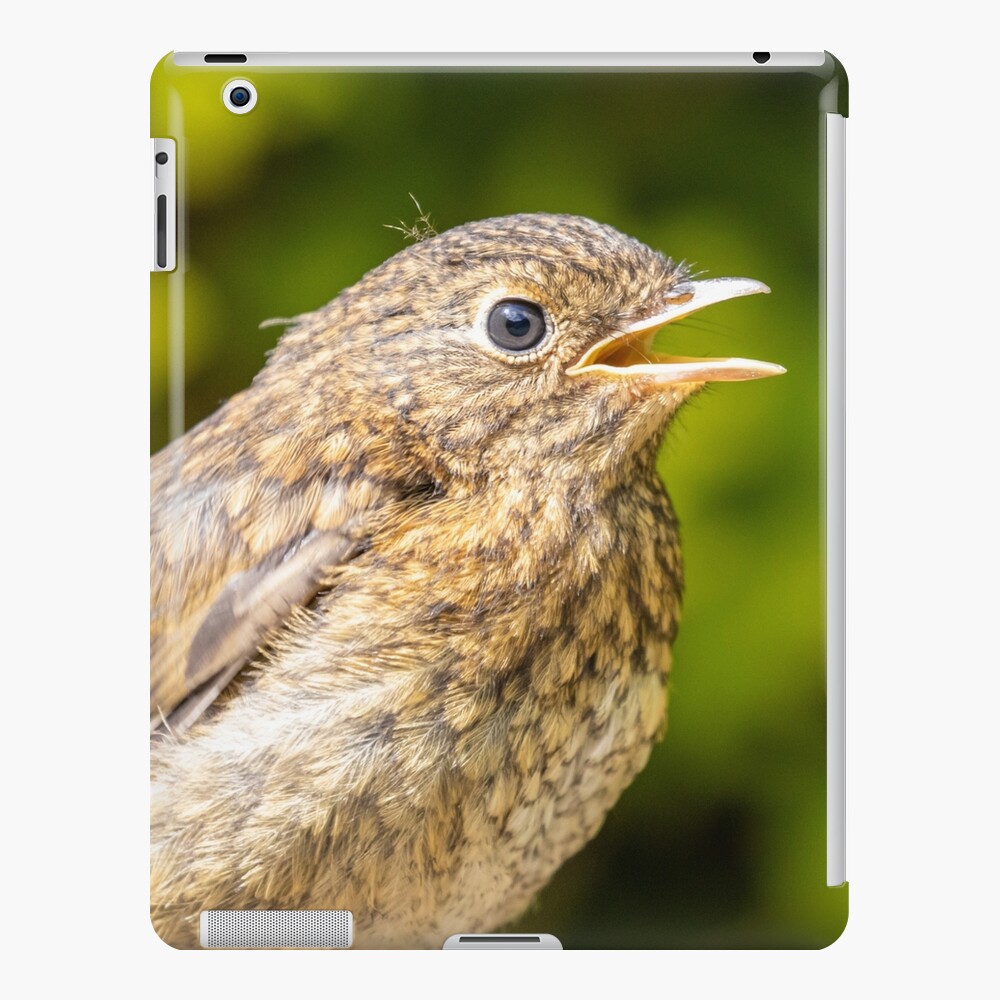 Item preview, iPad Snap Case designed and sold by AYatesPhoto.