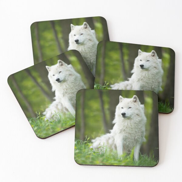 Artikelvorschau, Arctic Wolf entworfen und verkauft von WolvesOnly.
