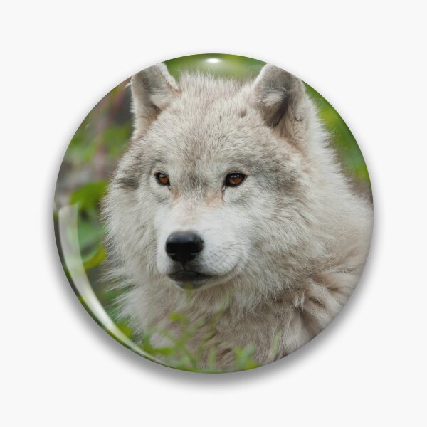 Item preview, Arctic Wolf designed and sold by WolvesOnly.