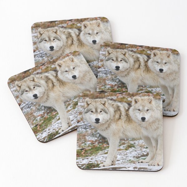 Item preview, Arctic Wolves designed and sold by WolvesOnly.