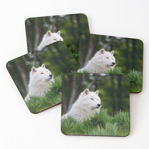 Artikelvorschau, Arctic Wolf entworfen und verkauft von WolvesOnly.